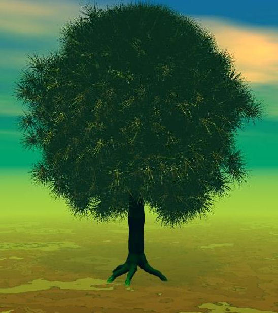 albero albero